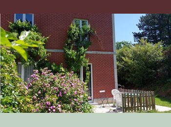 Appartager BE - Grande chambre lumineuse dans une maison en colocation, Woluwe Saint Pierre - Sint Pieters Woluwe - 665 € pm