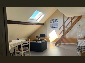 Appartager BE - Kot étudiant à louer à Namur, Namur - 480 € pm