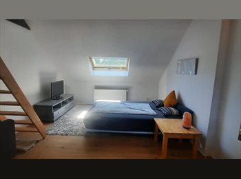 Appartager BE - Arlon – loft en colocation dans maison rénovée et entièrement meublée, Arlon - 770 € pm