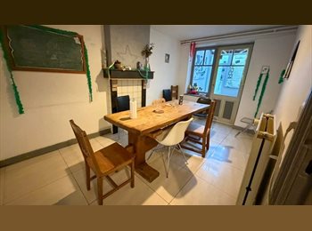 Appartager BE - colocation internationale et conviviale, Schaerbeek Schaarbeek - 655 € pm