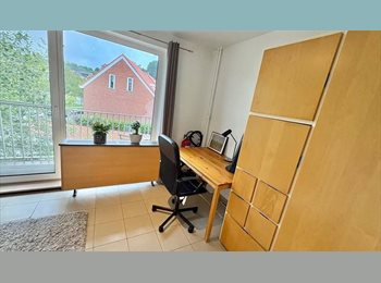 Appartager BE - Studio meublées disponible a ixelles, Ixelles-Elsene - 1.300 € pm