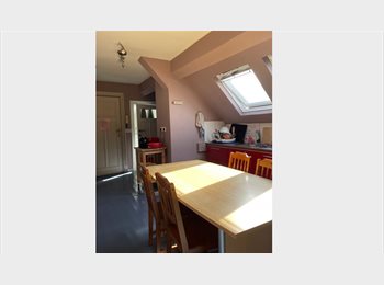Appartager BE - Sous-location de chambre étudiante Laeken, Bruxelles, Laeken - 450 € pm
