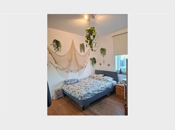 Appartager BE - Colocation jeunes travailleurs, Namur - 590 € pm