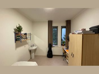 Appartager BE - Sous location Flagey, Ixelles-Elsene - 300 € pm