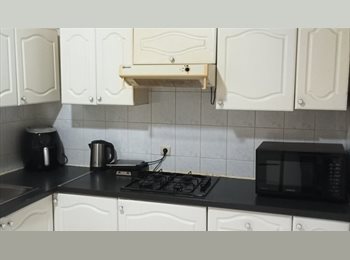 Appartager BE - Shared room, Anvers - 550 € pm