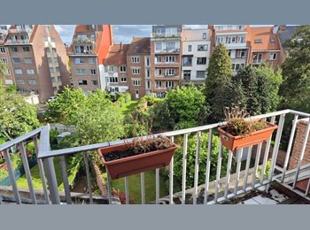 Appartager BE - CHAMBRE DISPO DÉBUT JUILLET DANS UNE COLOCATION DE 3 À GRIBAUMONT, Woluwe Saint Lambert - Sint Lambrechts Woluwe - 680 € pm