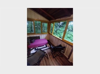 Roomgo BR - Quarto para alugar, Itajaí - R$ 1.000 Por mês
