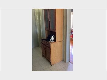 Roomgo BR - Quarto pra alugar, Brasil - R$ 650 Por mês