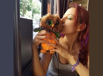 Roomgo BR - Karina - 35 - Consolação