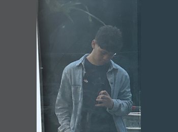 Roomgo BR - Thauã borges - 20 - Novo Hamburgo