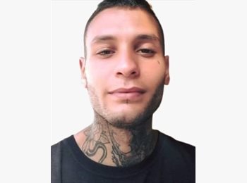 Roomgo BR - Raul Petry  - 28 - Florianópolis