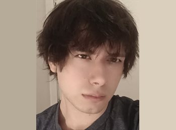 Roomgo BR - Albert  - 20 - Campinas