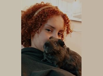 Roomgo BR - Marina - 21 - Belo Horizonte