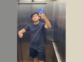 Roomgo BR - Lucas  - 19 - Liberdade