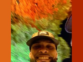 Roomgo BR - Carull - 33 - São Paulo SP