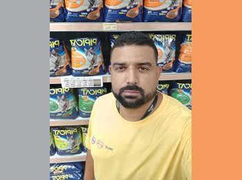 Roomgo BR - ERIKSON - 38 - Belo Horizonte