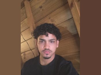 Roomgo BR - José Henrique Faustino Gomes  - 21 - Florianópolis