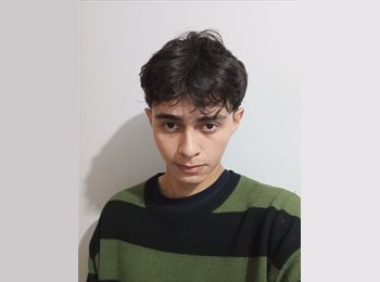 Roomgo BR - vitor - 21 - São Paulo SP