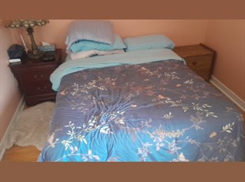 Roomgo CA - Looking for a single lady, Edmonton - $675 pcm