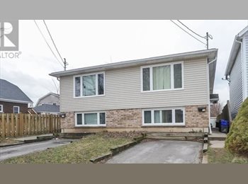 Roomgo CA - Beautifully Renovated Unit, 1 Room Available June 1st, Canada - $625 pcm
