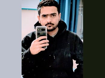 Roomgo CA - Muhammad Mubashar - 30 - Canada