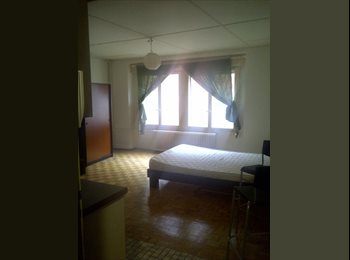Roomgo CH - Neuchâtel-centre : Studio en zone piétonne à louer (meublé ou non), Neuchâtel - 920 CHF / Mois