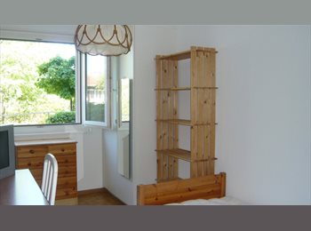 Roomgo CH - Chambre, Genève - 700 CHF / Mois