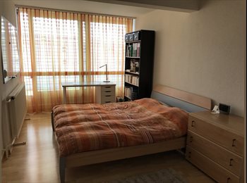 Roomgo CH - Grande chambre à louer, Genève - 750 CHF / Mois