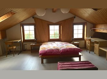 Roomgo CH - Chambres meublées en colocation pour étudiants/étudiantes, Neuchâtel - 400 CHF / Mois