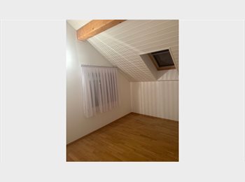 Roomgo CH - Cherche colocataire, Bern - 900 CHF / Mois