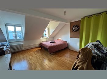 Roomgo CH - Colocation Fribourg Rue de Romont, Fribourg - 856 CHF / Mois