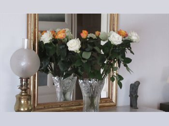 Roomgo CH - Jolie chambre en ville de Genève, Genève - 900 CHF / Mois