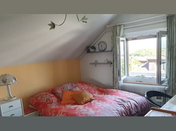 Roomgo CH - Chambre meublée dans une oasis de verdure, Bern - 980 CHF / Mois