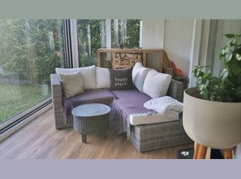 Roomgo CH - Chambre meublée moderne,quartier calme, Bern - 550 CHF / Mois