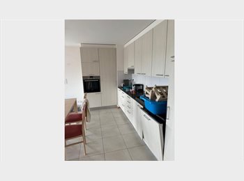 Roomgo CH - Chambre en collocation à Fribourg, Fribourg - 750 CHF / Mois