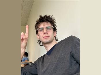 Roomgo CH - Daniel  - 20 - St. Gallen