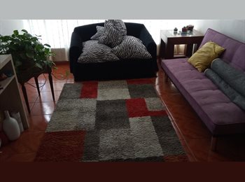 CompartoDepto CL - Amplia habitación, luminosa, Providencia - CH$290.000 por mes