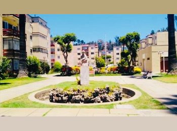 CompartoDepto CL - Arriendo habitación amoblada centro de viña disponible 1 de junio 2026, Viña del Mar - CH$330.000 por mes