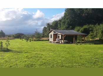 CompartoDepto CL - Cabaña disponible, Valdivia - CH$350.000 por mes