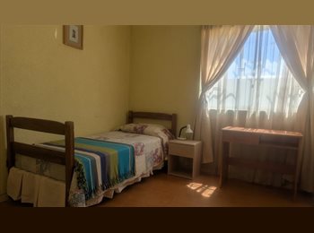 CompartoDepto CL - Habitación amplia y cómoda en Cerro Alegre, ideal para estudiante o profesional, Valparaíso - CH$260.000 por mes