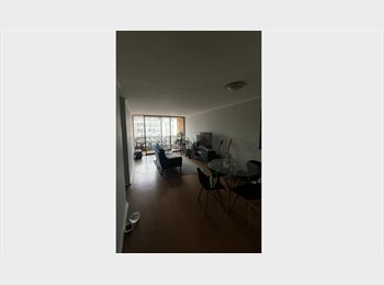 CompartoDepto CL - Busco roomie buena onda que guste de los gatos y la tranquilidad, Santiago Centro - CH$300.000 por mes
