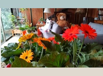 CompartoDepto CL - Hermosas piezas para vivir tranquilo, Valparaíso - CH$190.000 por mes