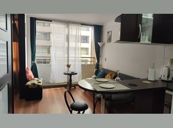 CompartoDepto CL - Arriendo Depto Amoblado DIARIO Santa Rosa, Santiago Centro - CH$30.000 por mes