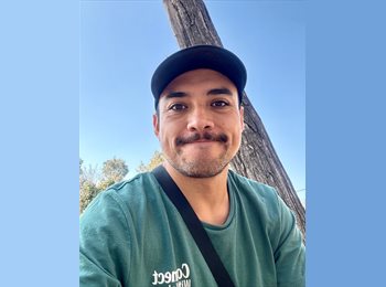 CompartoDepto CL - Sergio - 31 - Viña del Mar