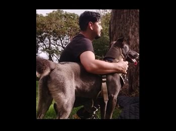 CompartoApto CO - Diego - 40 - Bogotá