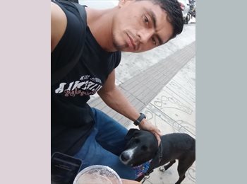 CompartoApto CO - Cristian camilo Orozco  - 32 - Cartagena