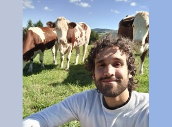 CompartoApto CO - Federico - 33 - Medellín