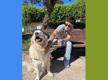 Roomgo ES - Tomas - 22 - Zona Norte