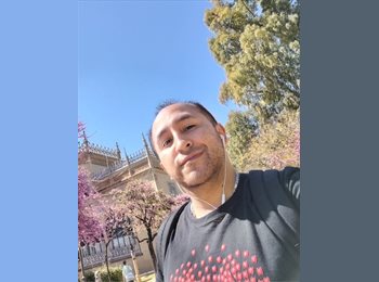 Roomgo ES - Luis Felipe  - 36 - Sevilla