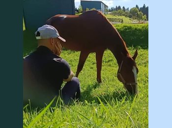 Roomgo ES - David - 53 - Santiago de Compostela